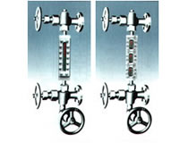 碧根果種植基地
