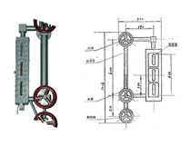 夏威夷果種植基地
